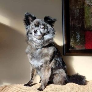 Meet your Posher, Sabrina